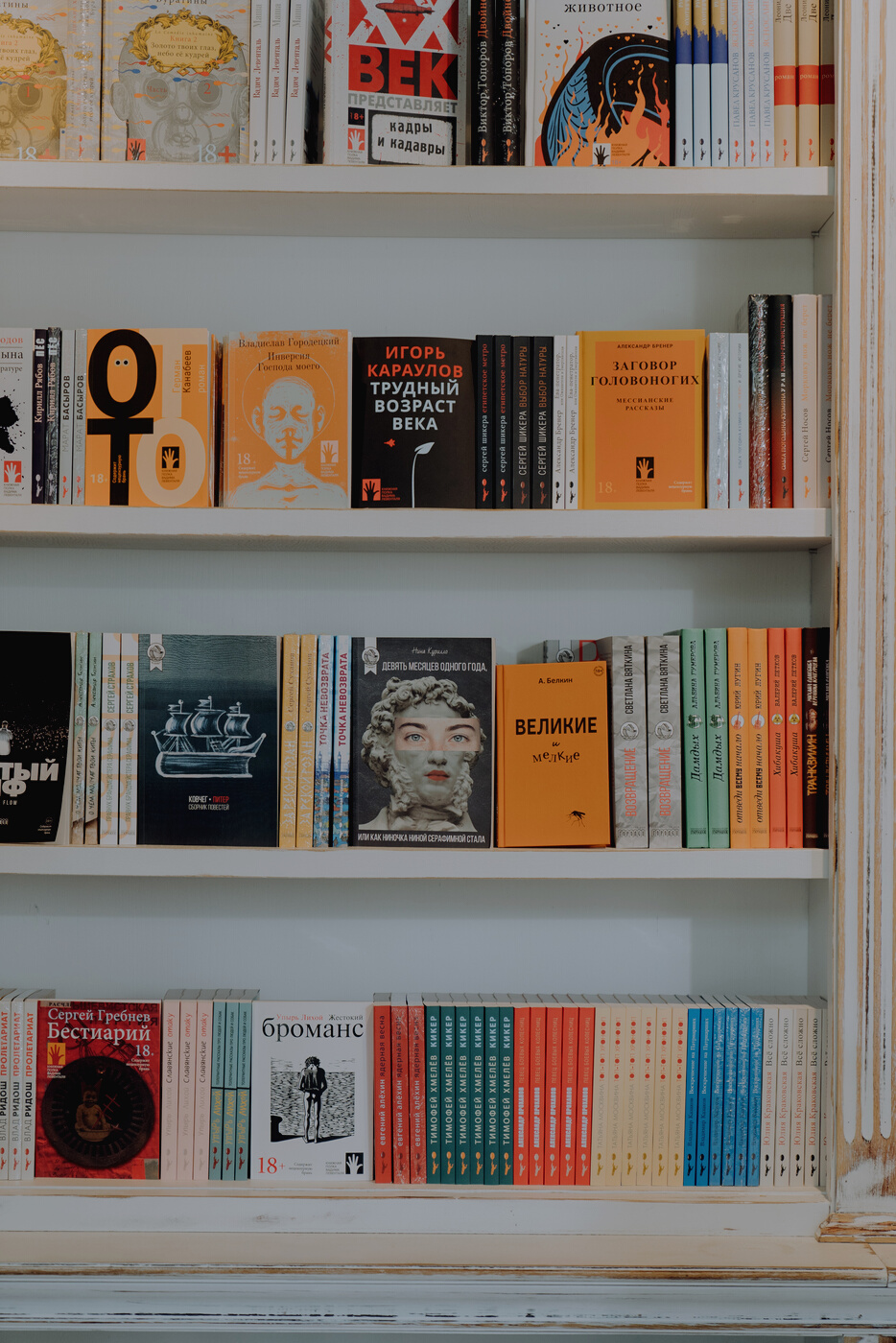 White Wooden Book Shelf With Books